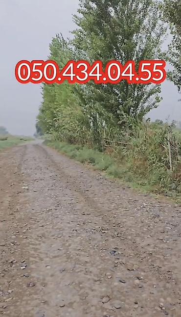 1 otaqli heyet evleri: Satılır: Saatlı rayonu, Bəylər kəndində ferma və yaşayış evi kompleksi — 2