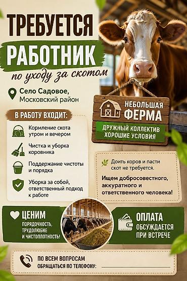Саанчылар: Требуется работник по уходу за скотом 📍 Село Садовое, Московский — 1