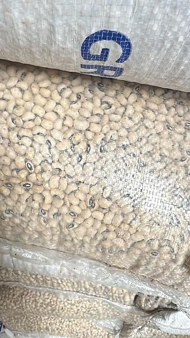 Крупы, мука, сахар: Крупы в мешках (опт) - Ассортимент: рис (в т.ч. шлифованный — 4