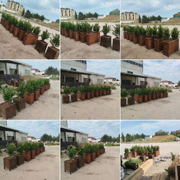 Bitkilər üçün dibçəklər: Açıq havaya uyğun dekorativ taxta gülbəçələr - Material: təbii — 9