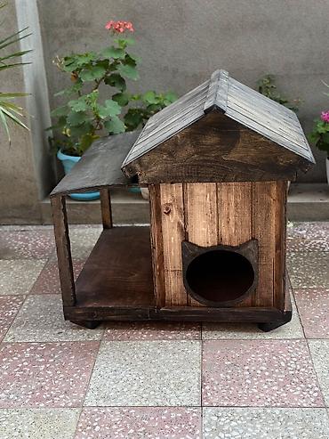 pişik damı: Taxta pişik evi və açıq istirahət meydançası - Material: təbii ağac — 2