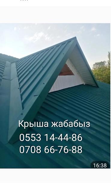 химическая метализация: Крыша жабабыз — 1