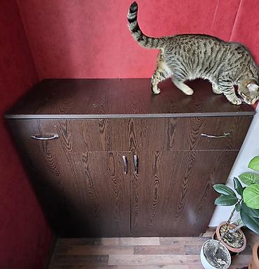 plastik dolap balkon: Tünd odun rəngində, xüsusi sifarişlə hazırlanmış və eyvan üçün — 1