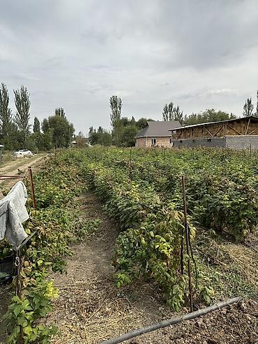 поля поливная: 12 соток, Для сельского хозяйства, Красная книга — 9