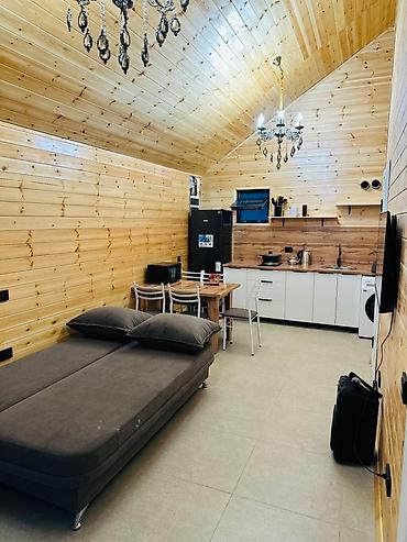 Посуточная аренда домов: Представляем современный дом в стиле барнхаус с панорамным — 10