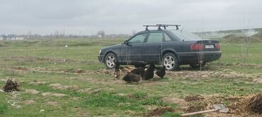 вентилятор на ваз: Audi 100: 1993 г., 2.6 л, Механика, Газ, Седан
