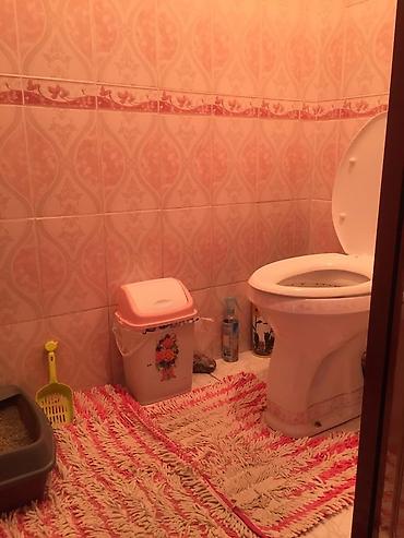 квартиры бишкек аламедин 1: 3 бөлмө, 823 м², Аламедин-1 мкр 105-серия, 5 кабат, Эски ремонт — 8