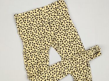 rajstopy wzory allegro: Leggings for kids, Little kids, 9 years, 128/134, condition - Perfect
