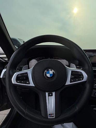 BMW: BMW 5 series: 2019 г., 2.2 л, Автомат, Дизель, Седан — 13