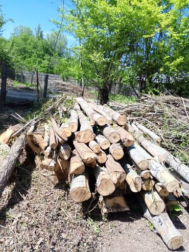 печь для дома с водяным отоплением длительного горения: Дрова Тополь