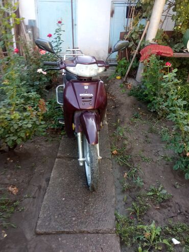 танк мопед цена: Мопед Honda бордового цвета. Оснащен передней фарой для освещения