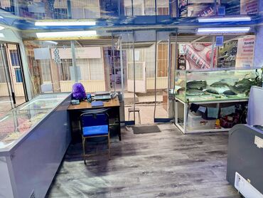 Торговля: Продажа бизнеса Магазин, Продукты