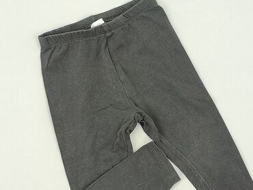 stormberg spodnie: Sweatpants, Cool Club, 9-12 months, condition - Good