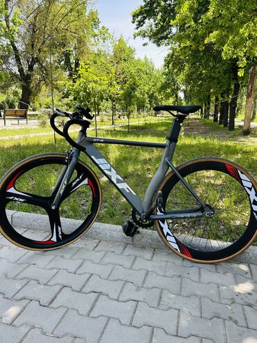 шоссейный велосипед pinarello: Шоссейный велосипед, Рама L (172 - 185 см), Б/у
