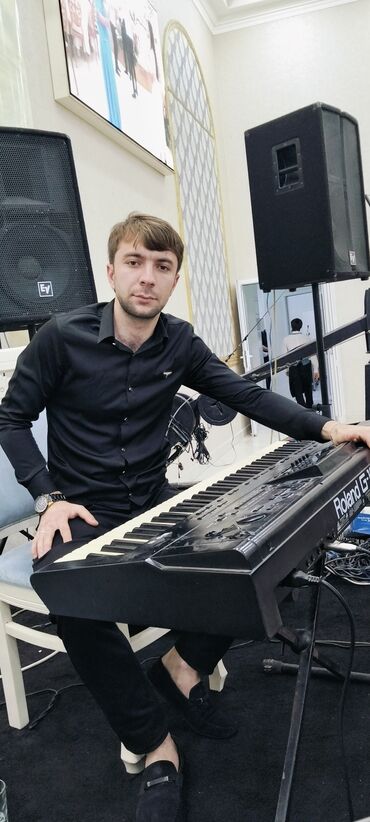 Gitaralar: Sintezator, Roland