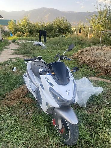 мото зонтик: Не на ходу пробег 3500 150 куб искра есть не знаю почему не — 3