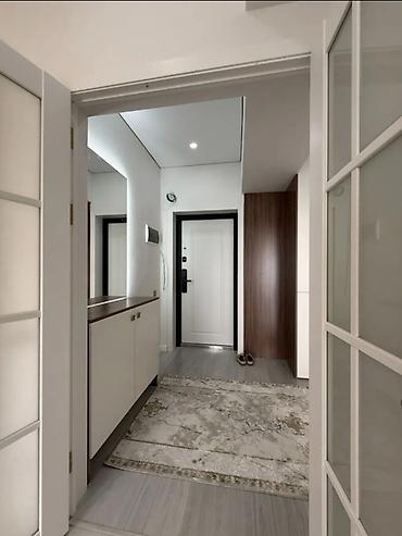 artwin: 1 комната, 46 м², ул. Лев Толстой 9 этаж, Свежий ремонт — 9
