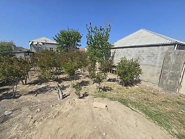 Torpaq sahələrinin satışı: Tikinti, Mülkiyyətçi -da lalafo.az — 10 Torpaq sahələrinin satışı: Tikinti, Mülkiyyətçi — 10