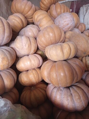 малина саженцы полька: Тыква столовая, разнообразные формы и калибр. рамашка,груша,японка. -