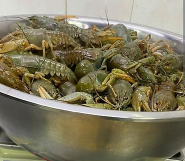 раком: 🦞 Покупаем живых раков! 🦞 Дорого купим живых раков любого объема! ✔️ — 1