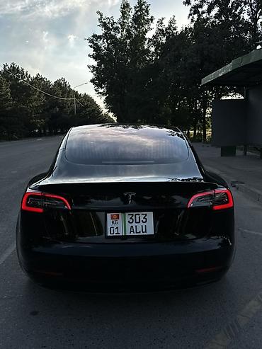 byd e6: Tesla Model 3: 2019 г., Электромобиль, Лифтбек — 3