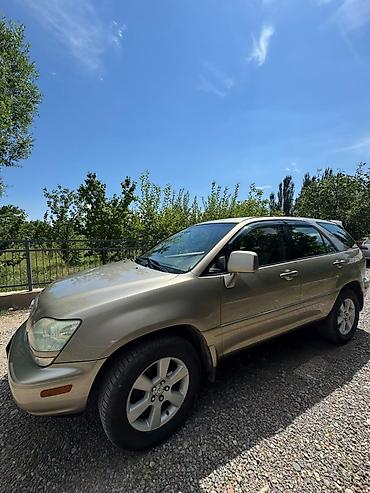 argb controller: Lexus RX: 2002 г., 3 л, Автомат, Бензин, Кроссовер — 1