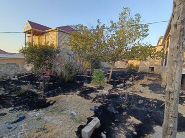 xacmazda findiq bagi satilir: 2 sot, Tikinti, Mülkiyyətçi