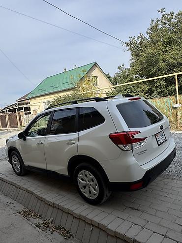 Subaru: Subaru Forester: 2019 г., 2.5 л, Вариатор, Бензин, Кроссовер — 3