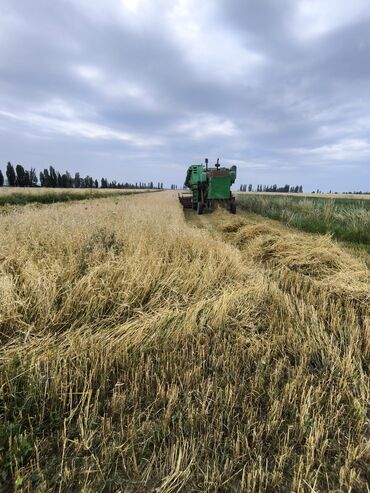 куплю продажа: 5500 соток, Для сельского хозяйства, Договор купли-продажи