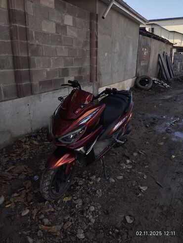 купить мотороллер муравей в бишкеке: Скутер/максискутер в спортивном стиле ОБМЕН НА ДРУГОЙ СКУТЕР С