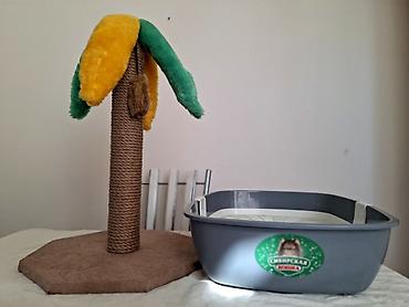 сибирия: Когтеточка «Пальма» для кошек 🌴 Оригинальная и удобная когтеточка с — 3
