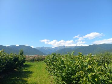 Torpaq sahələrinin satışı: 27 sot, Kənd təsərrüfatı, Mülkiyyətçi, Kupça (Çıxarış), Texniki pasport — 8