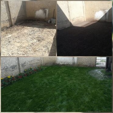 Дизайн, проектирование: Сеем газоны Установка автополива Установка капельного полива Услуги — 10