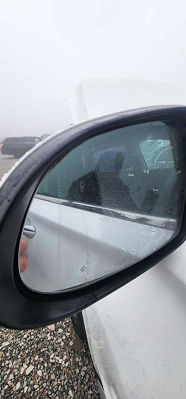 Hyundai: Hyundai Santa Fe: 2019 г., 2 л, Автомат, Дизель, Кроссовер — 14