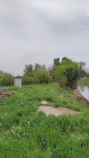 Долгосрочная аренда домов: 50 м², 2 комнаты — 8