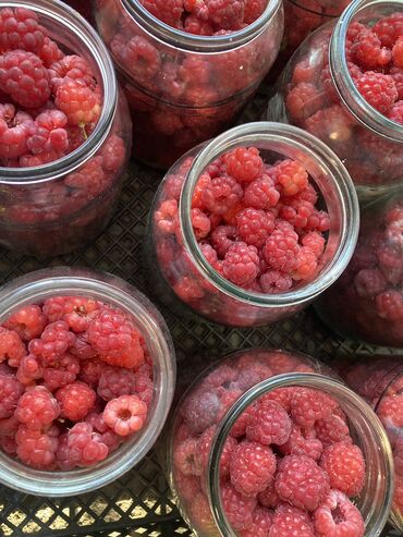 деревянные двери цена бишкек: Малина Чекене, Акылуу жеткирүү