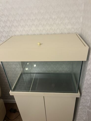 Akvariumlar: Dördbucaq akvarium, Boş, 140 l — 6