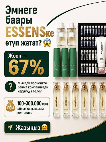 Сетевой маркетинг: ESSENS Кыргызстан — маркетинговый план и продукция Что предлагается — 2