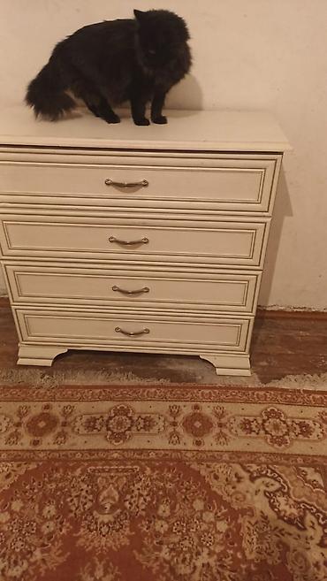 Мелкосрочные работы: Ремонт перетяжка стульев, кресло, кушетки, кровати, диваны, ремонт — 3