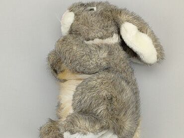 spodenki z przetarciami: Mascot Rabbit, condition - Very good