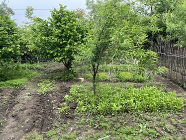 Torpaq sahələrinin satışı: 7 sot, Tikinti, Mülkiyyətçi, Kupça (Çıxarış) -da lalafo.az — 15 Torpaq sahələrinin satışı: 7 sot, Tikinti, Mülkiyyətçi, Kupça (Çıxarış) — 15