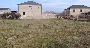 sut satisi: Torpaq sahəsi Şevəlanda, Mir Mövsüm ağa pirinin aşağısında yerləşir. 6 — 2