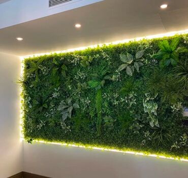 Digər ev dekoru: Kv 25 azn baslayan yasil dekorlar
Her olcude hazrlanr 
Depodan satis — 3