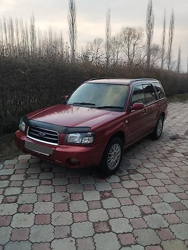 Subaru: Subaru Forester: 2002 г., 2 л, Автомат, Бензин, Универсал — 7