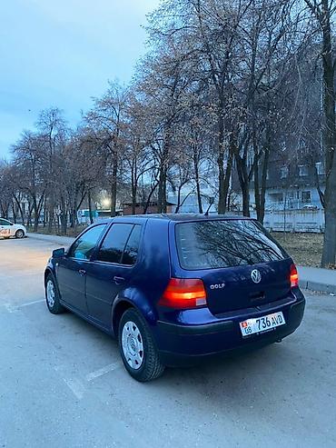Volkswagen: Volkswagen Golf: 2004 г., Автомат, Бензин, Хэтчбэк — 18