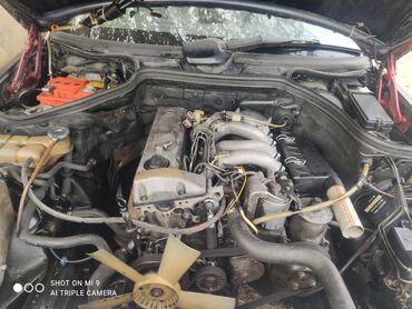 Mercedes-Benz: Mercedes-Benz W124: 2 l | 1992 il Sedan — 11