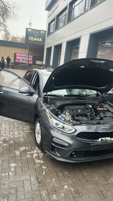 Kia: Kia K3: 2019 г., 1.6 л, Автомат, Бензин, Седан — 10