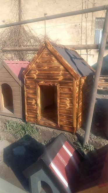 Yuvalar: Darvazabazari.az oz mehsullarin teqdim Edir Diqqetle Oxuyum Bu — 3