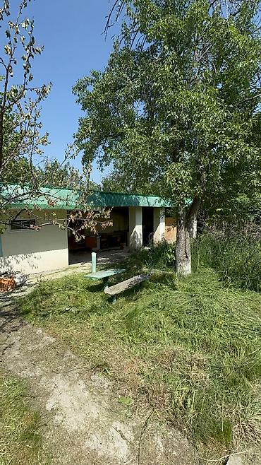 Продажа дач: Продается дача в верхней части города Кашка Суу горнолыжная база не — 13