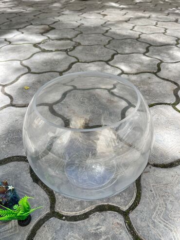 террариум для черепахи бишкек: Продам 5 литровый аквариум с компрессором по Бишкеку доставка